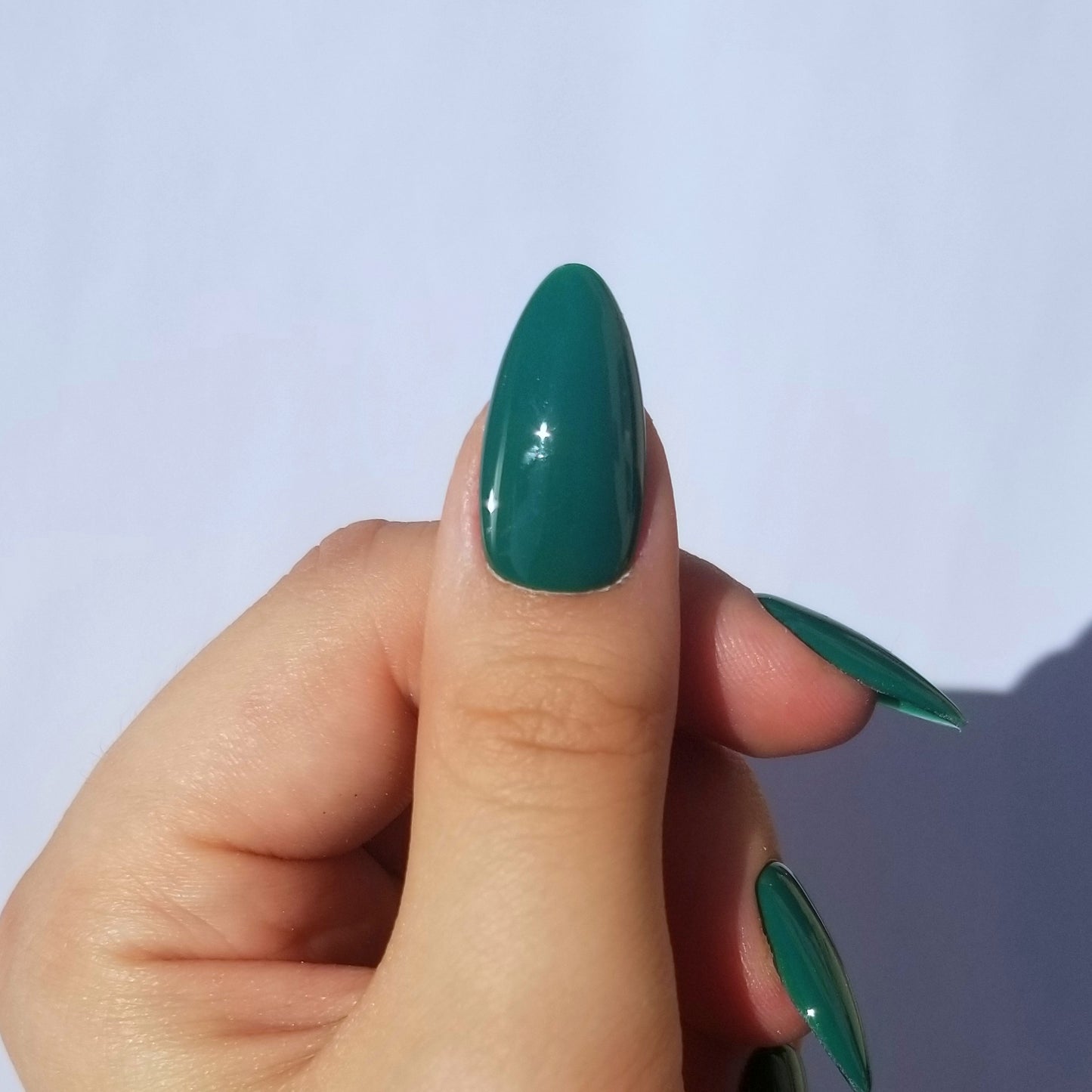 Vert sapin ~ Amande M