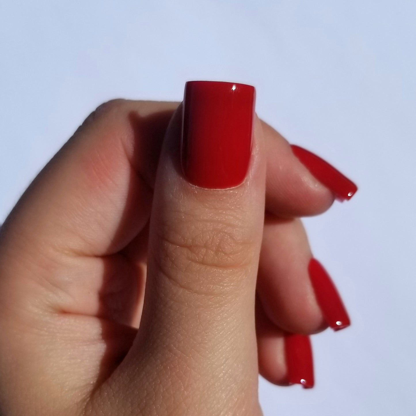 Bordeaux ~ Carré XS