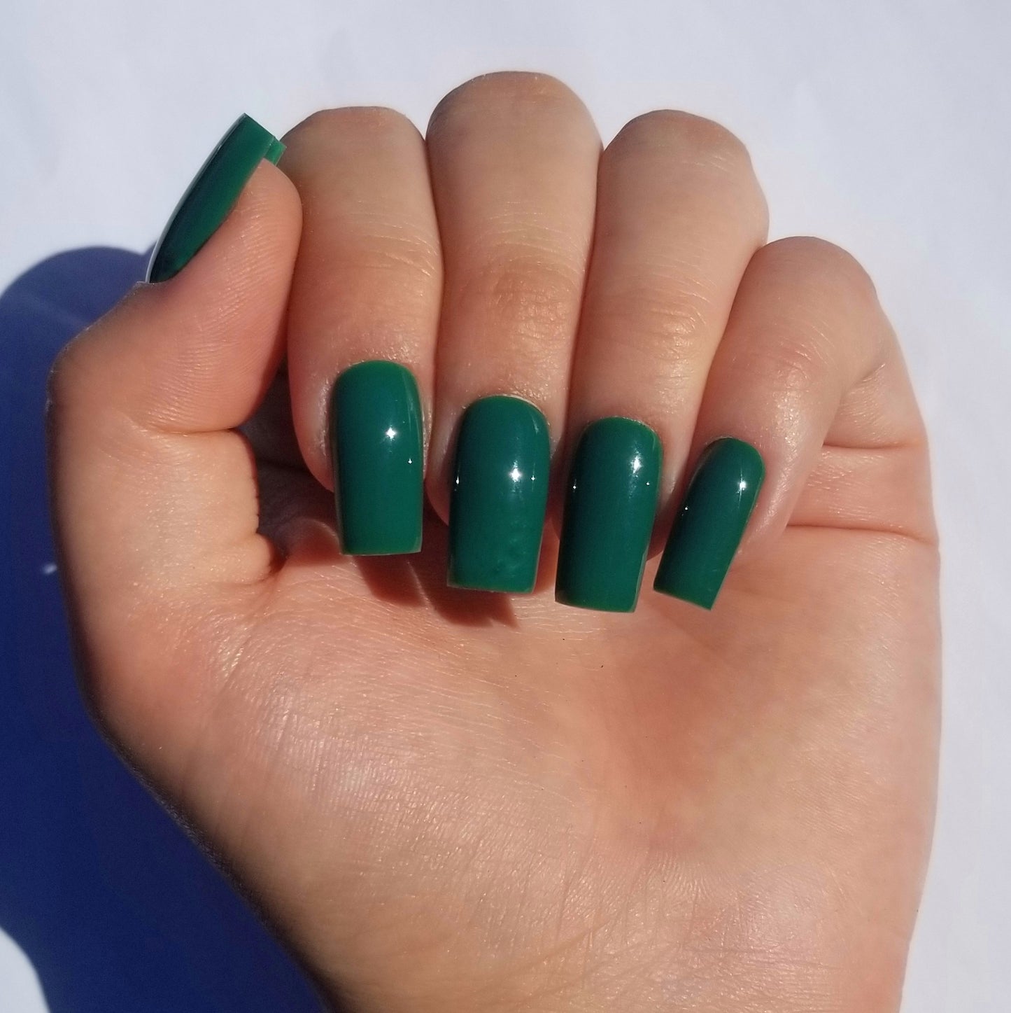 Vert sapin ~ Carré S