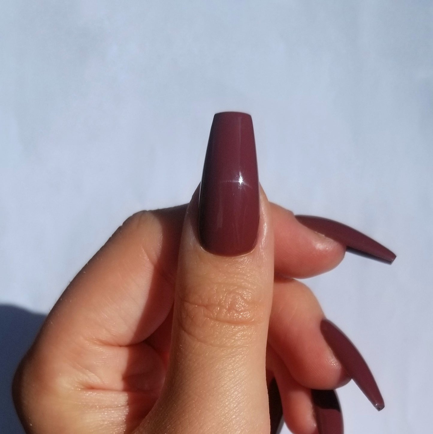 Lie de vin ~ Coffin M