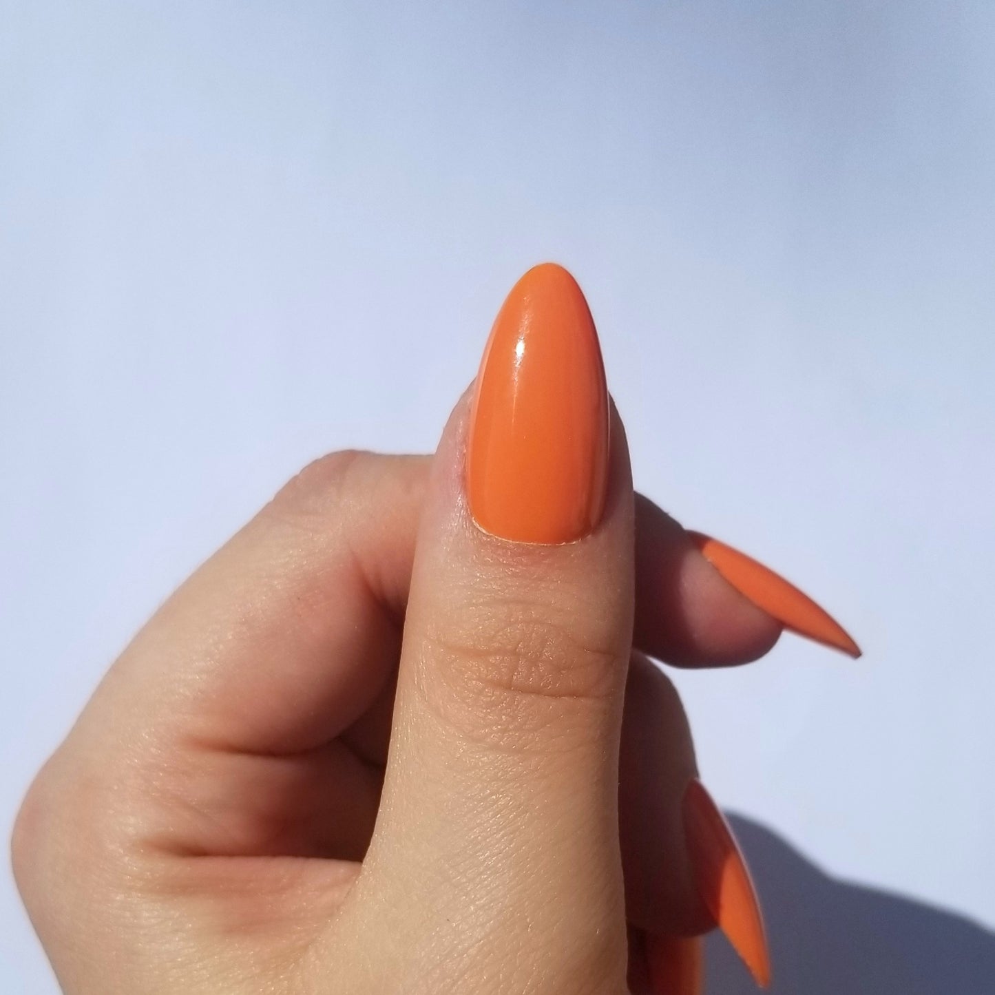 Autumn harvest ~ Amande M