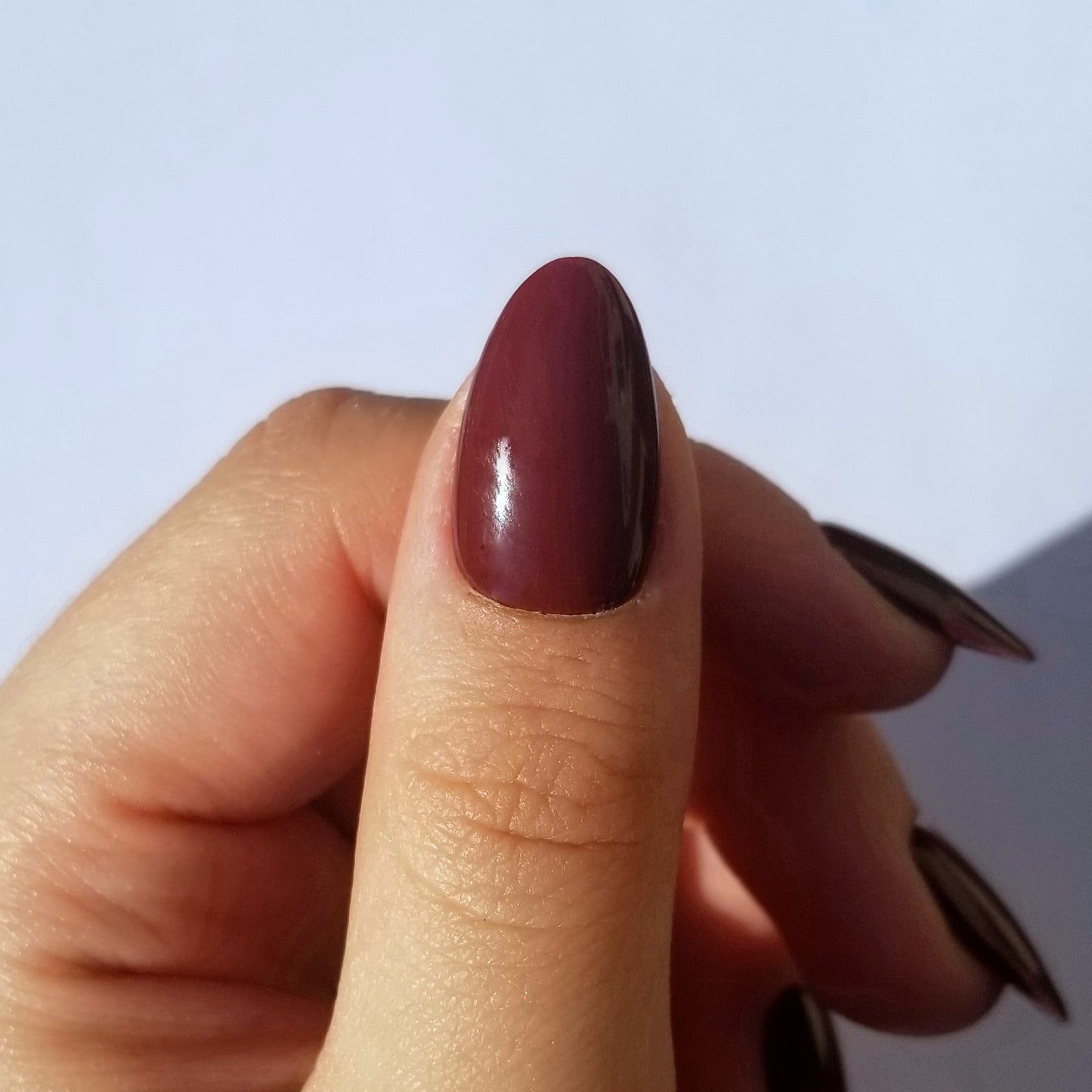 Lie de vin ~ Amande S