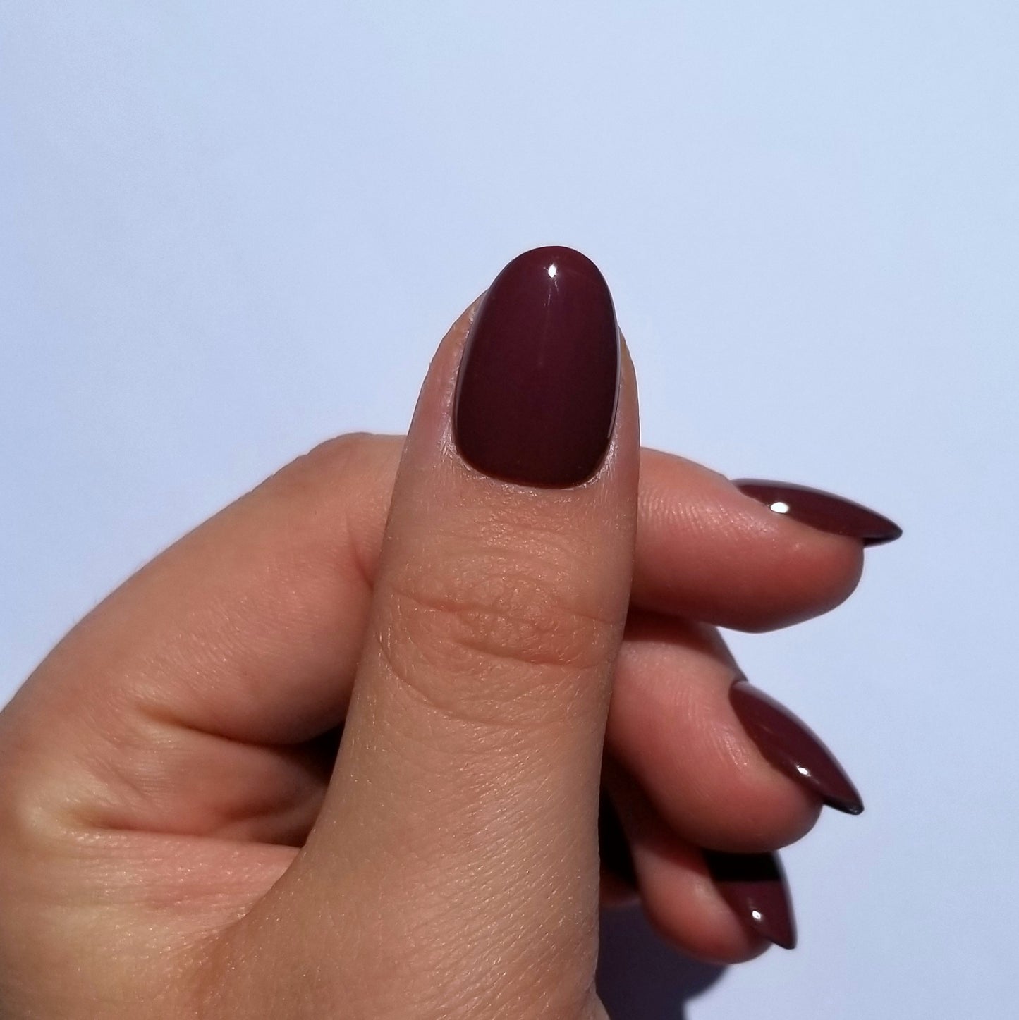 Lie de vin ~ Rond XS