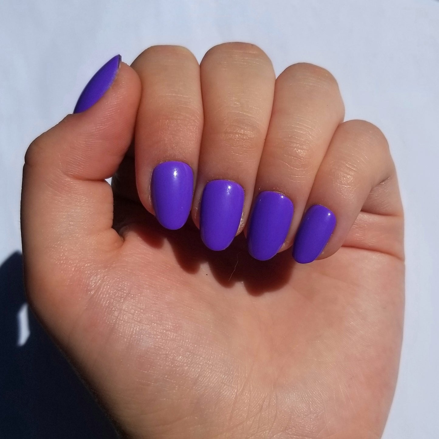 Violet ~ Rond XS