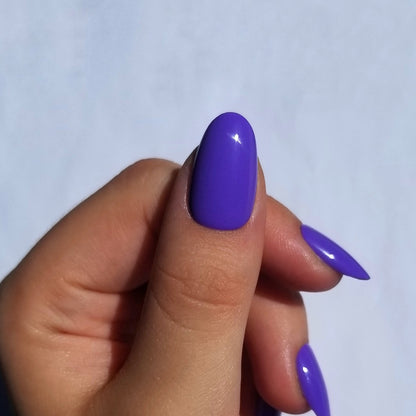 Violet ~ Rond S