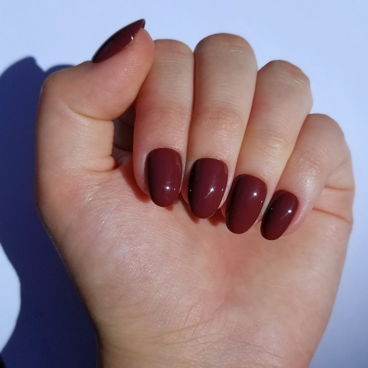 Lie de vin ~ Rond XS