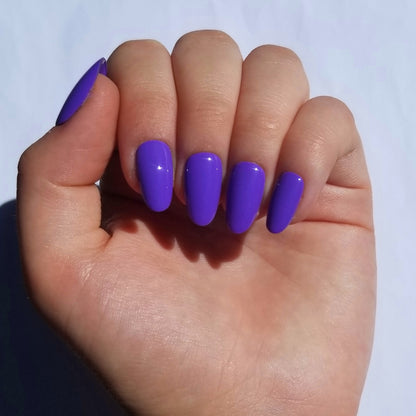 Violet ~ Rond S