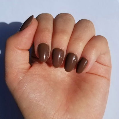Marron ~ Rond XS
