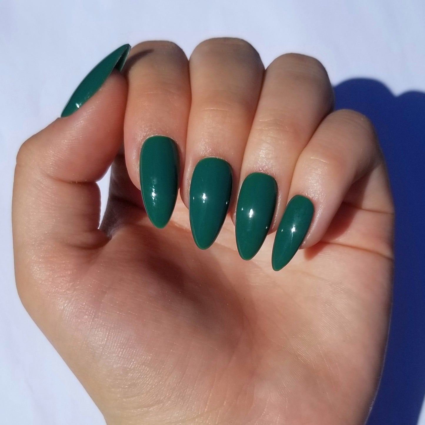 Vert sapin ~ Amande M