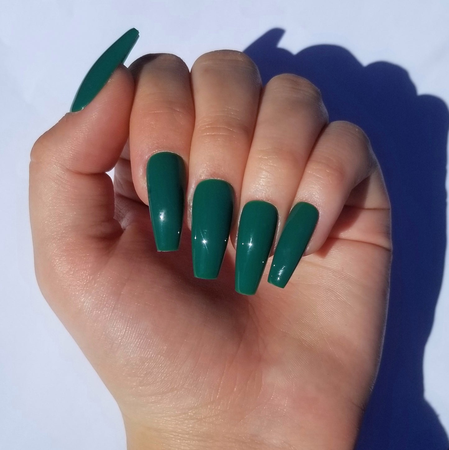 Vert sapin ~ Coffin M