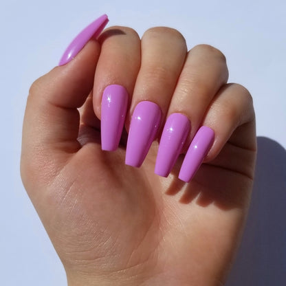 Fuschia ~ Coffin M