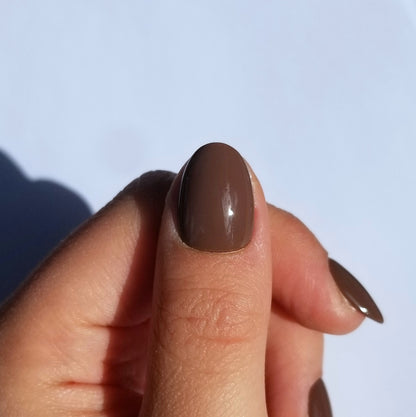 Marron ~ Rond XS