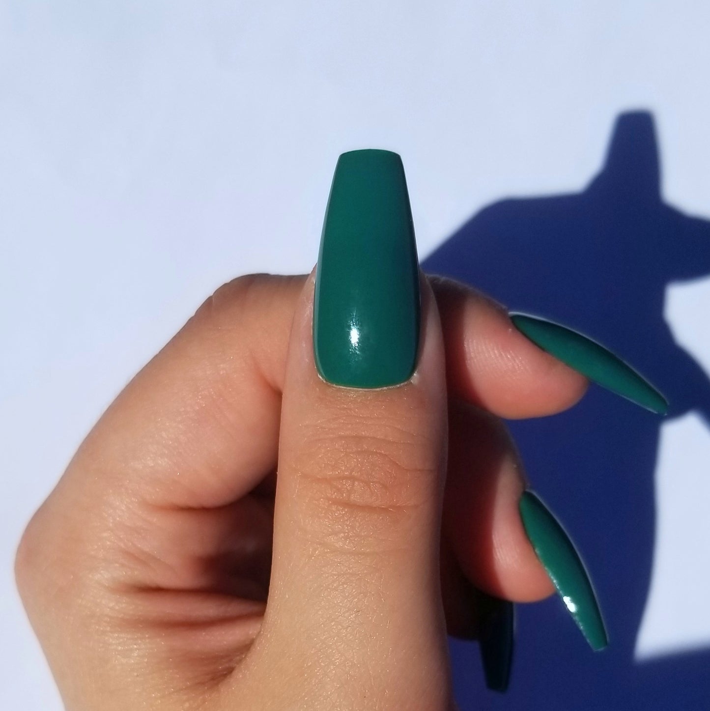 Vert sapin ~ Coffin M