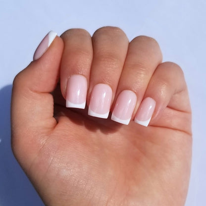 French ~ Carré XS