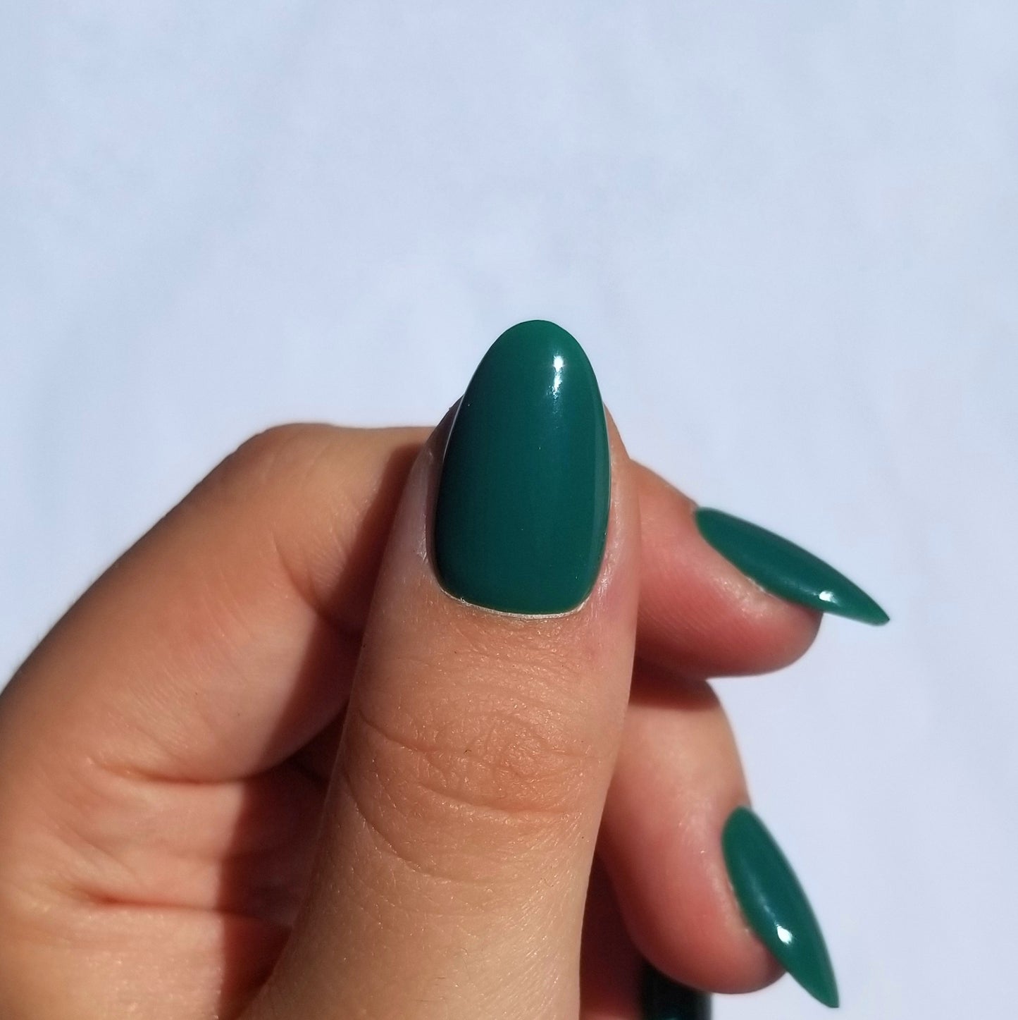 Vert sapin ~ Amande S