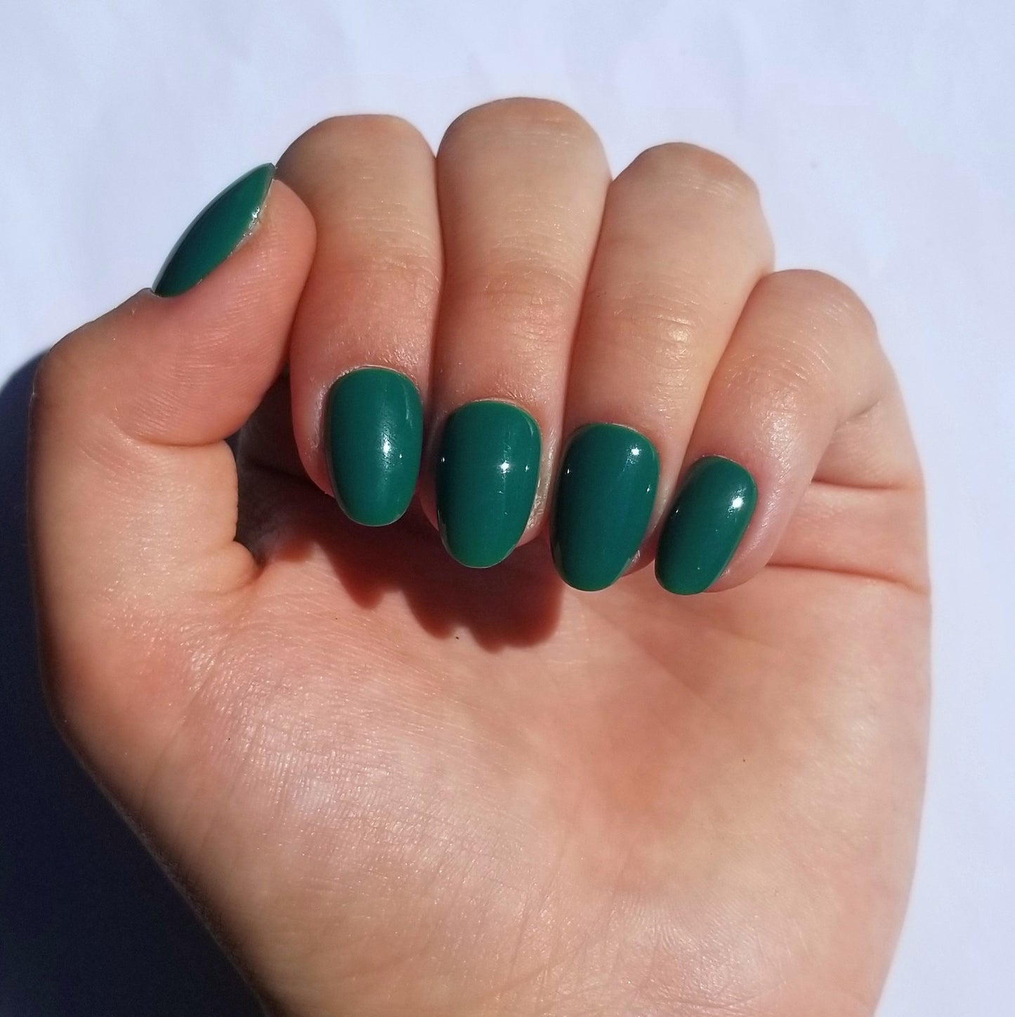 Vert sapin ~ Rond XS