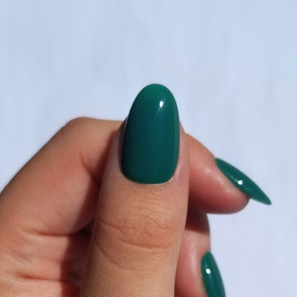 Vert sapin ~ Rond S