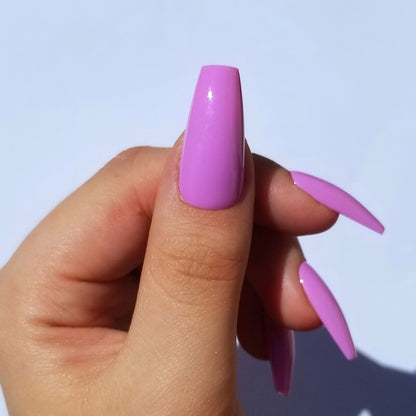 Fuschia ~ Coffin M