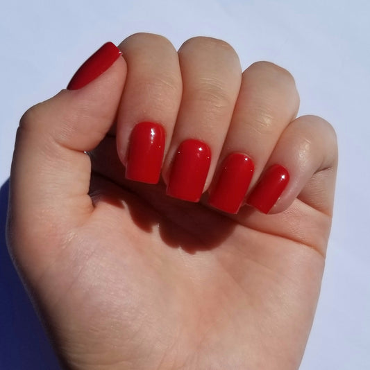 Bordeaux ~ Carré XS