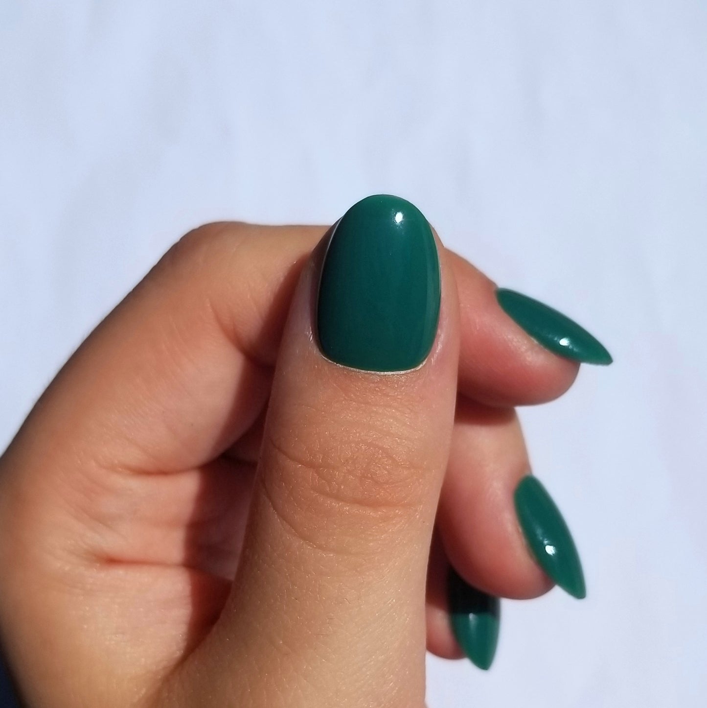 Vert sapin ~ Rond XS