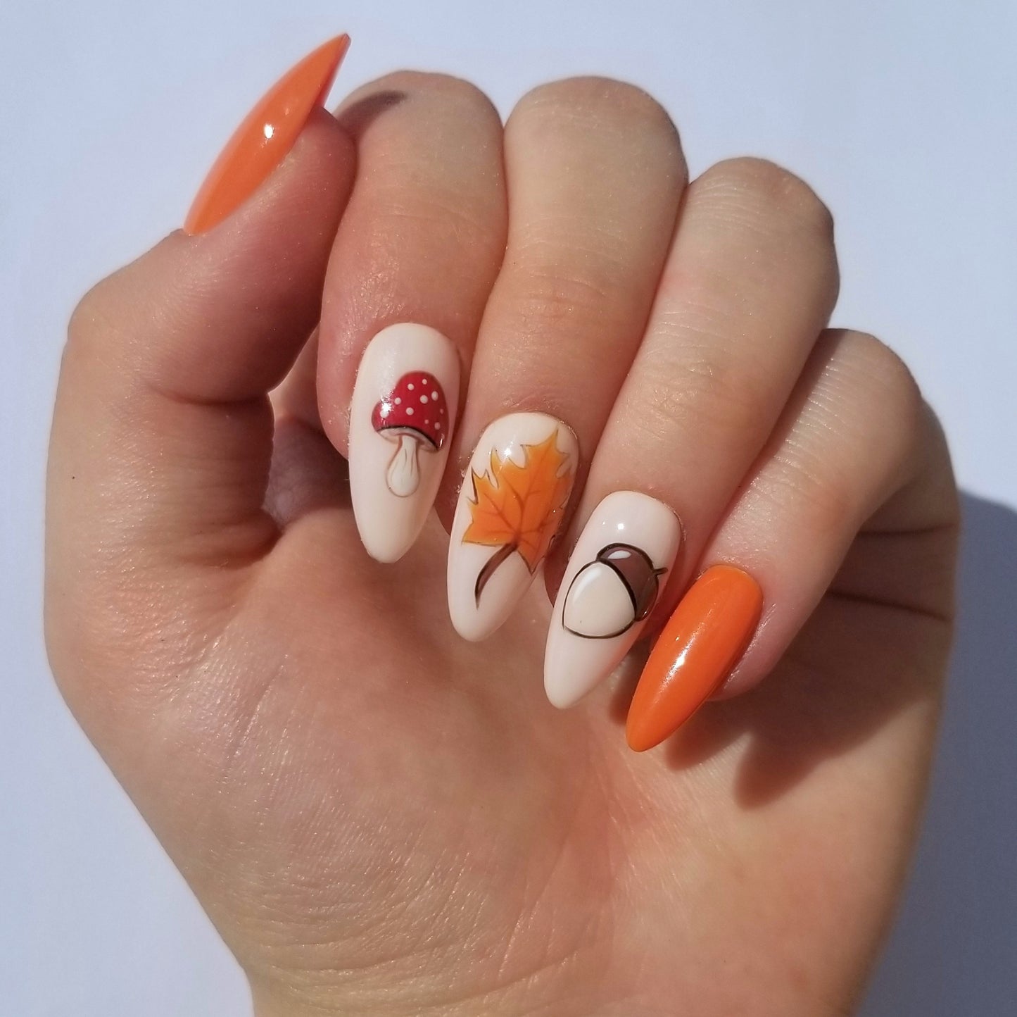 Autumn harvest ~ Amande M