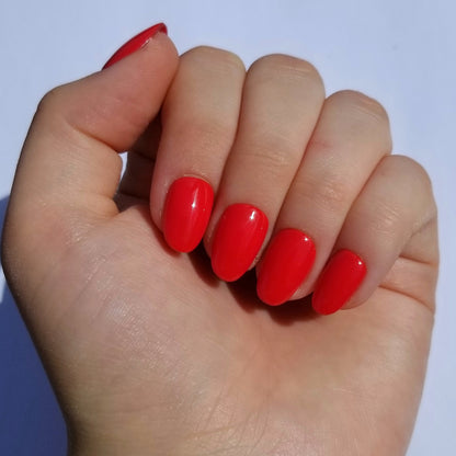 Rouge vif ~ Rond XS