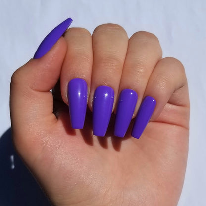Violet ~ Coffin M
