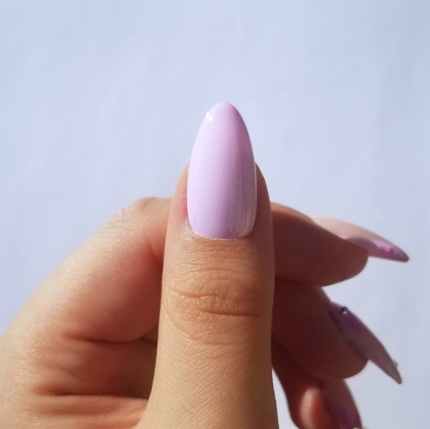 Spring flowers ~ Amande M