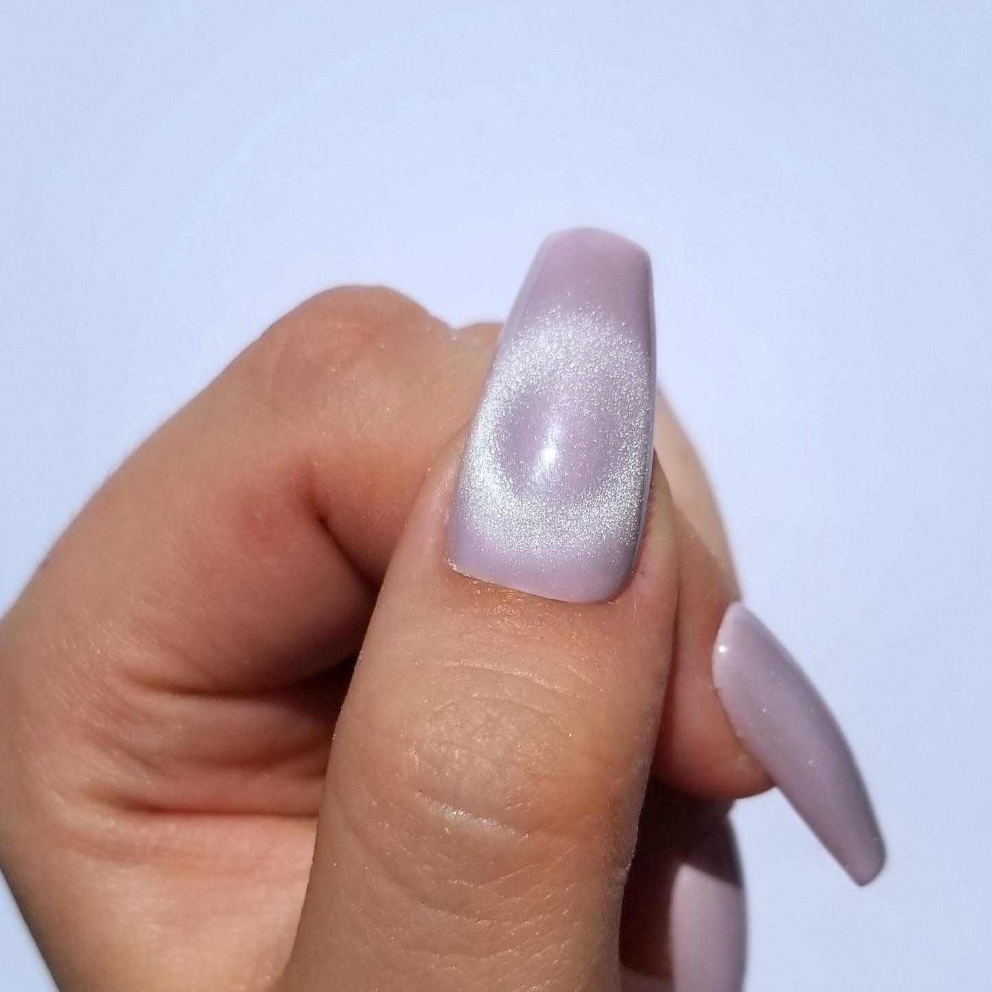 Soft cat eye rose ~ Coffin M