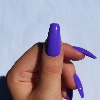Violet ~ Coffin M
