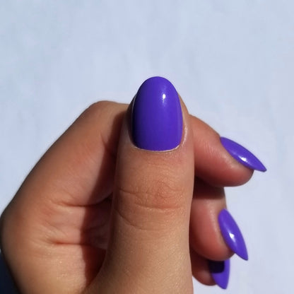 Violet ~ Rond XS